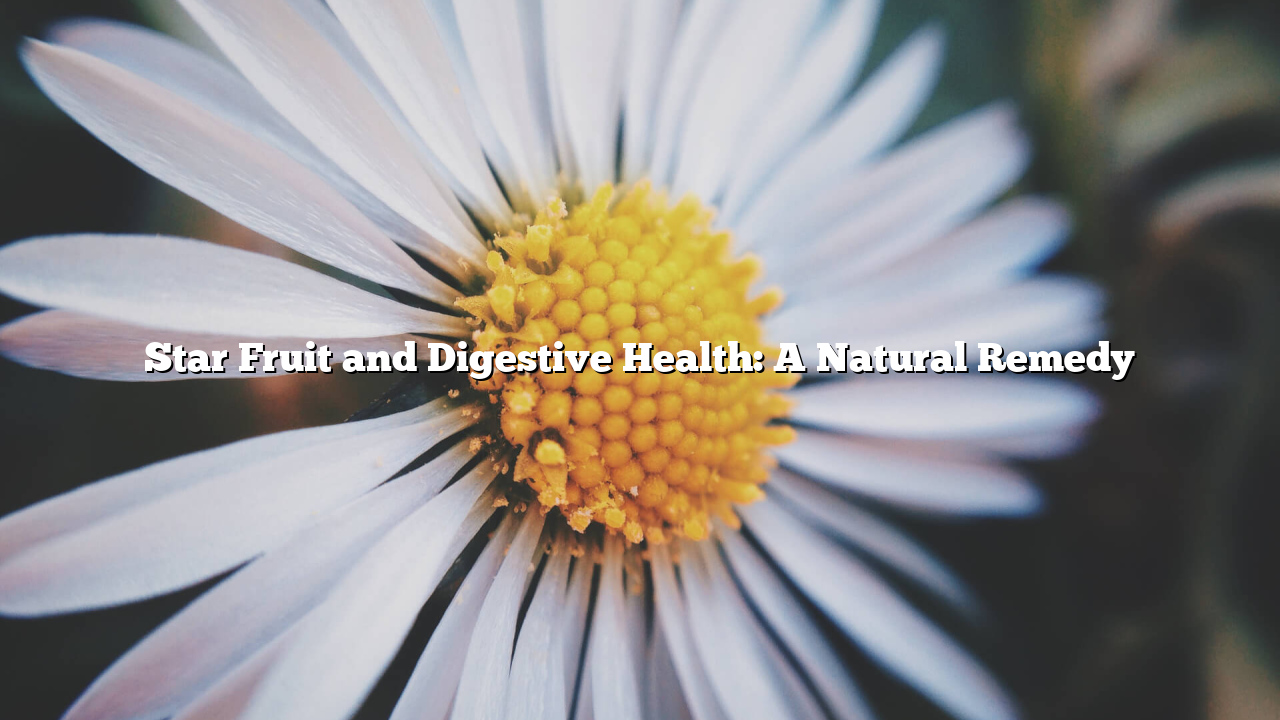 Star Fruit and Digestive Health: A Natural Remedy