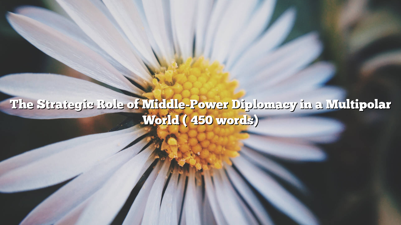 The Strategic Role of Middle-Power Diplomacy in a Multipolar World (≈450 words)