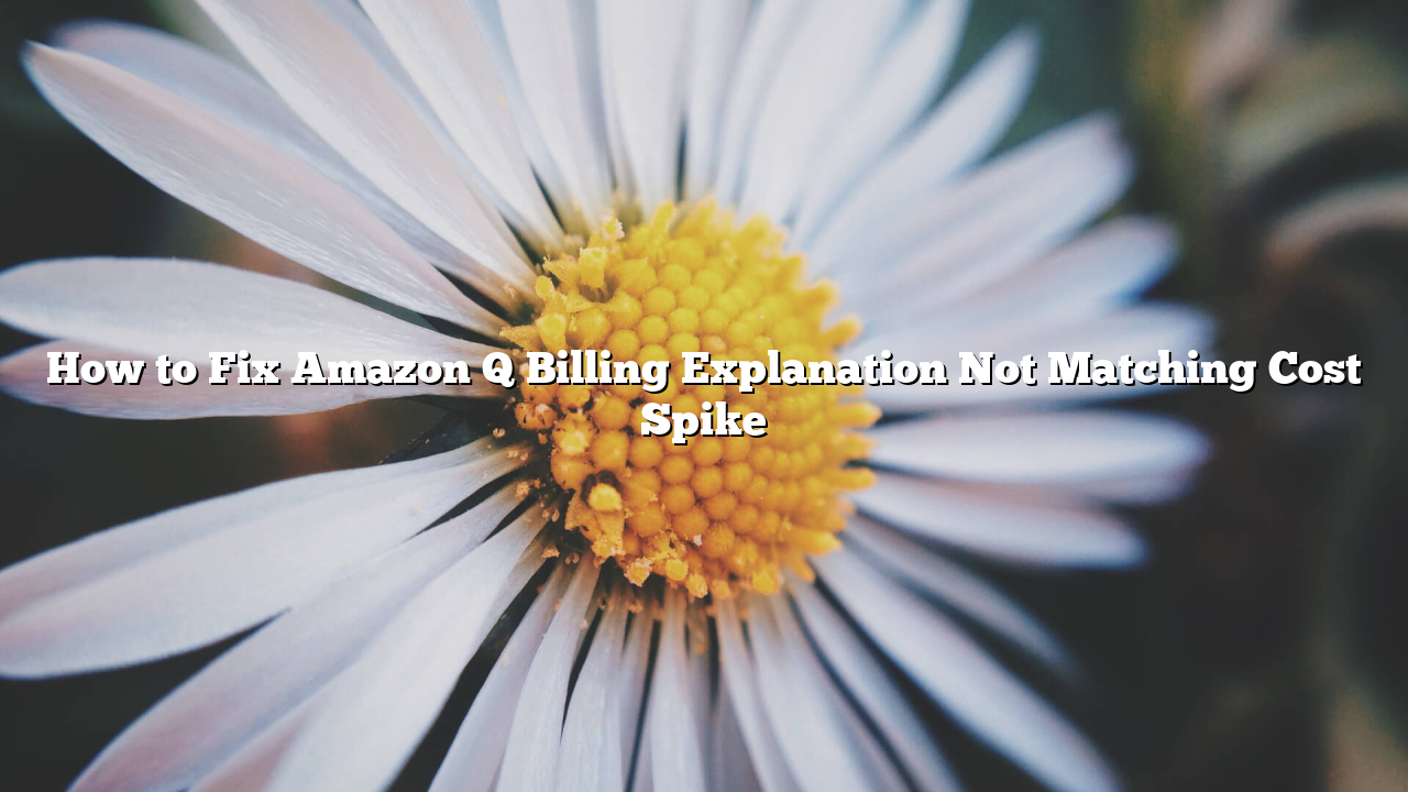 How to Fix Amazon Q Billing Explanation Not Matching Cost Spike
