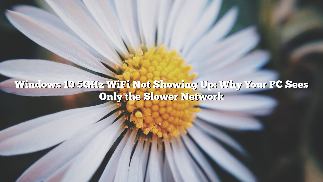 Windows 10 5GHz WiFi Not Showing Up: Why Your PC Sees Only the Slower Network